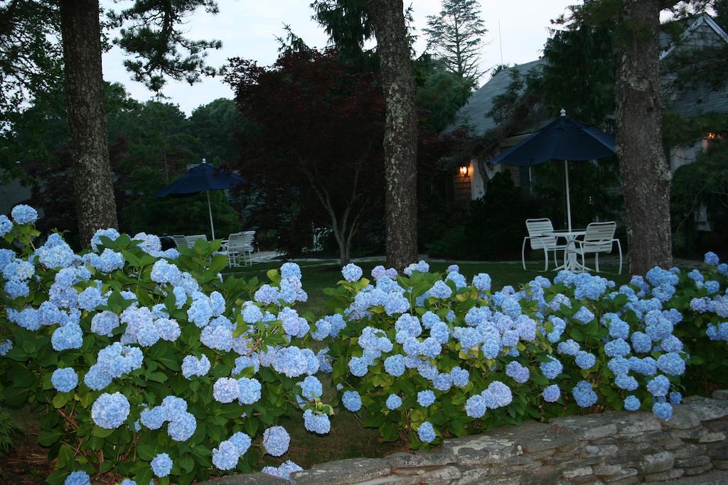 Pleasant Bay Village Resort Chatham Eksteriør billede